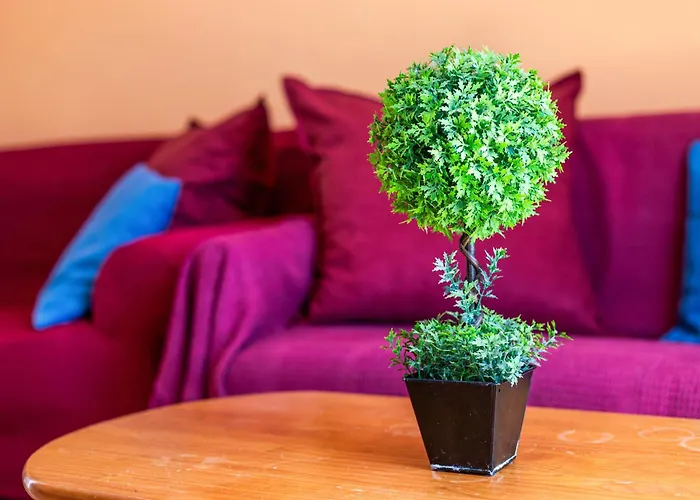 Lägenhet Seaviews From The Big Balcony, Parking And Wifi Costa Calma