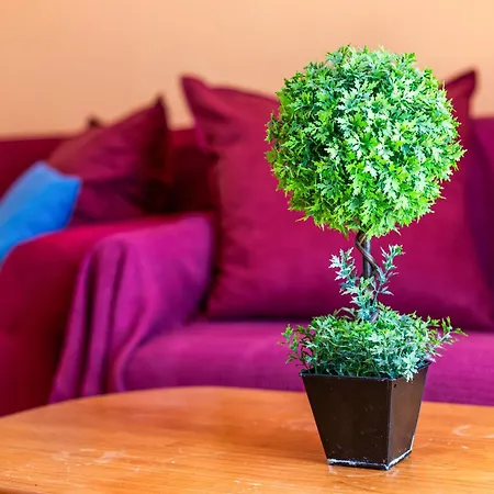 Seaviews From The Big Balcony, Parking And Wifi Costa Calma