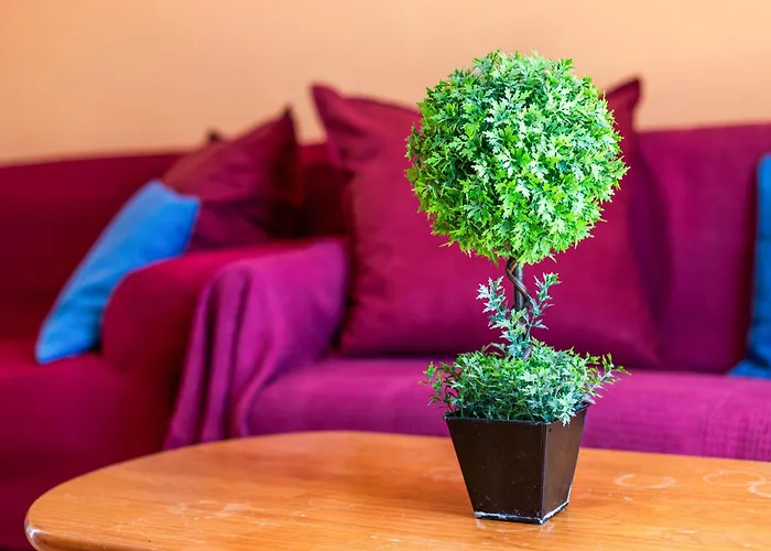 Seaviews From The Big Balcony, Parking And Wifi Costa Calma